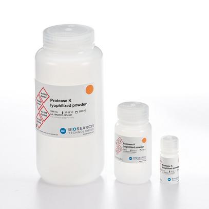 Protease K, lyophilized powder